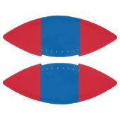 モンゴル国旗 アメリカンフットボール (パネル)