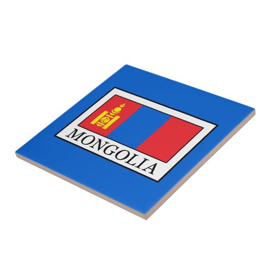 モンゴル タイル (側面)