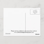 モンスターが付いているネス湖の海岸 ポストカード (裏面)