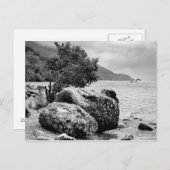 モンスターが付いているネス湖の海岸 ポストカード (正面/裏面)