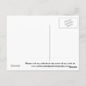 モンスターが付いているネス湖の海岸 ポストカード (裏面)