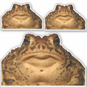 モンスタートッドのステッカー シール (正面)