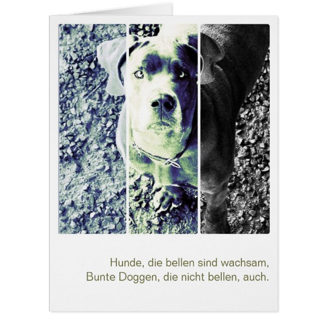 モンスタードッゲンカルテ (正面)