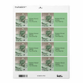 モンスターノッケン歩くアウトオブザウォーター ラベル (フルシート)