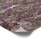 モンスターバックポスター ポスター (角)