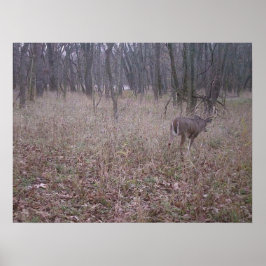 モンスターバックポスター ポスター