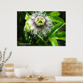 モンスターフラワー ポスター (キッチン)