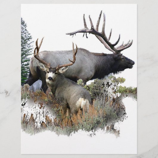 モンスターブルトロフィー・バック (正面)