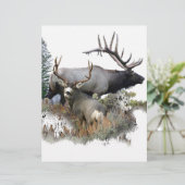 モンスターブルトロフィー・バック (スタンド正面)