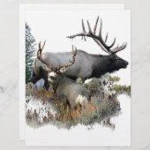 モンスターブルトロフィー・バック (正面/裏面)