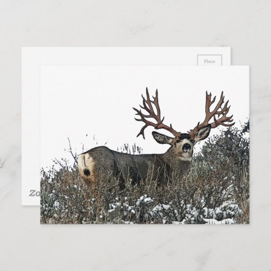 モンスターマールディアー2 ポストカード (正面/裏面)