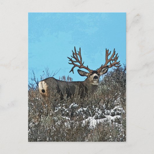モンスターミュール鹿バック ポストカード (正面)