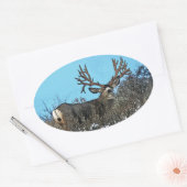 モンスターミューレディアバック 楕円形シール (封筒)