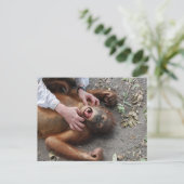 モンスタームービーエイリアン攻撃 ポストカード (スタンド正面)