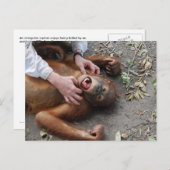 モンスタームービーエイリアン攻撃 ポストカード (正面/裏面)