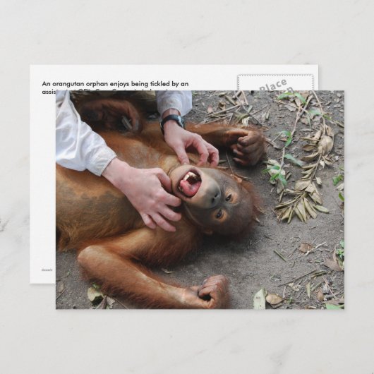 モンスタームービーエイリアン攻撃 ポストカード (正面/裏面)