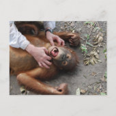 モンスタームービーエイリアン攻撃 ポストカード (正面)