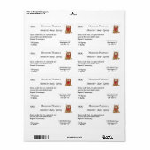 モンスター遠くにスプレーラベル(大) ラベル (フルシート)