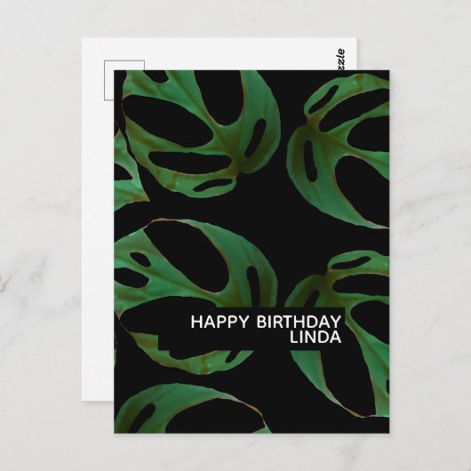 モンステラの植物パターンイラスト 葉の誕生日 ポストカード (正面/裏面)