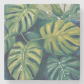 モンステラの葉の植物画ウォーターカラー ストーンコースター (正面)
