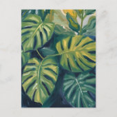 モンステラの葉の植物画 ポストカード (正面)