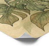 モンステラエレガントとスネークの植物のヴィンテージポスター ポスター (角)