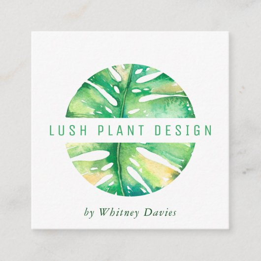 モンステラモダンリーフのロゴ植物生命緑色 スクエア名刺 (正面)