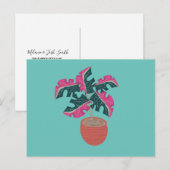 モンステラ変成ピンクと緑の鉢植物 ポストカード (正面/裏面)