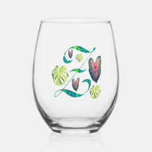 モンステラ文字「Z」