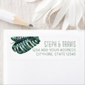 モンステラ植物差出人住所 ラベル (インサイチュ)