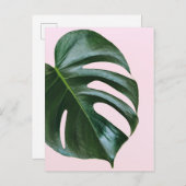 モンステラ熱帯葉 ポストカード (正面/裏面)