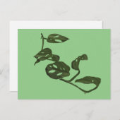 モンステラ アダノシー チーズプラント イラスト 緑 ポストカード (正面/裏面)