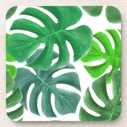 モンステラ コースター (正面)