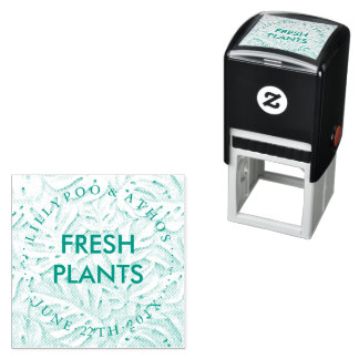 モンステラ 生植物 販売者 セルフインキングスタンプ