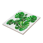 モンステ離れラセラミック瓦 タイル (側面)