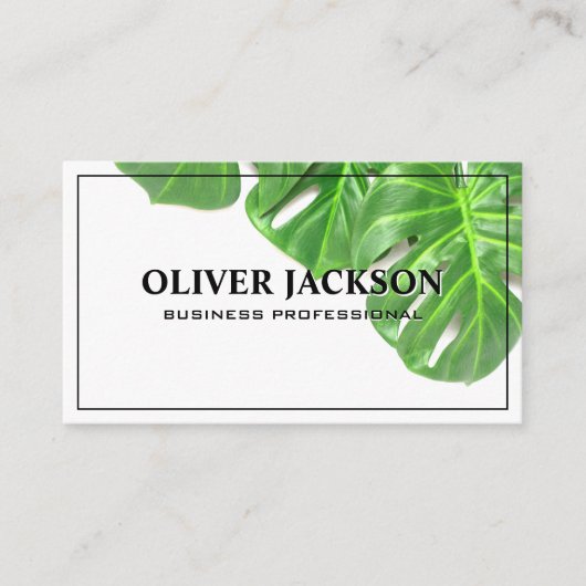 モンステ離れラ | 植物背景 名刺 (正面)
