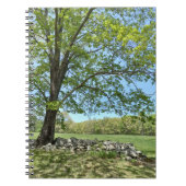 モンソンツリーポートレートスパイラルノート ノートブック (正面)