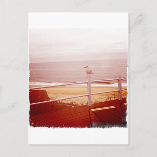 モンタウクシーガルラブ3.0 ポストカード (正面)