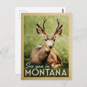 モンタナでお会い – Stag Deer Wildlife ポストカード (正面/裏面)