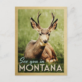 モンタナでお会い – Stag Deer Wildlife ポストカード