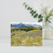 モンタナのはがき ポストカード (スタンド正面)