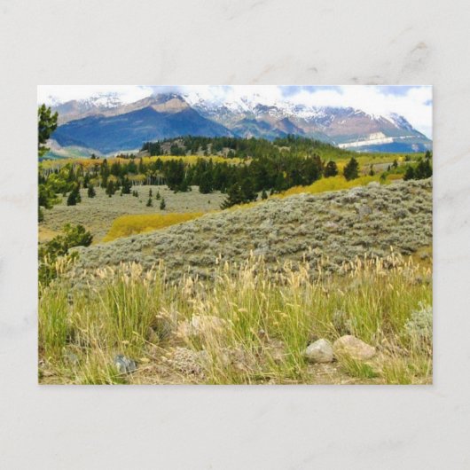 モンタナのはがき ポストカード (正面)