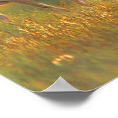 モンタナのプロングーンアンテロープ ポスター (角)