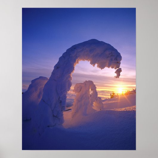 モンタナのホワイトフィッシュレンジの雪の亡霊 ポスター (正面)