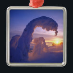 モンタナのホワイトフィッシュレンジの雪の亡霊 メタルオーナメント<br><div class="desc">モンタナ・チャック・ハニーのホワイトフィッシュ�レンジでの雪の亡霊/ DanitaDelimont.com</div>