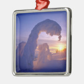 モンタナのホワイトフィッシュレンジの雪の亡霊 メタルオーナメント (左)