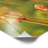 モンタナのルパン&プレーリースモークワイルドフラワー2 フォトプリント            (角)