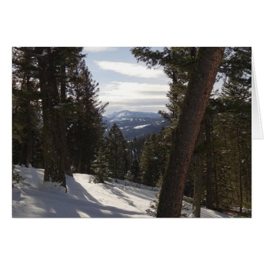 モンタナの冬のマディソン山脈 (正面横)