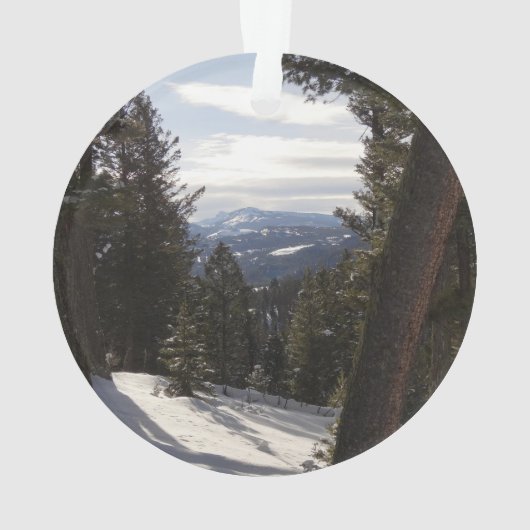 モンタナの冬のマディソン山脈 オーナメント (裏面)