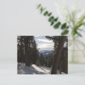 モンタナの冬のマディソン山脈 ポストカード (スタンド正面)